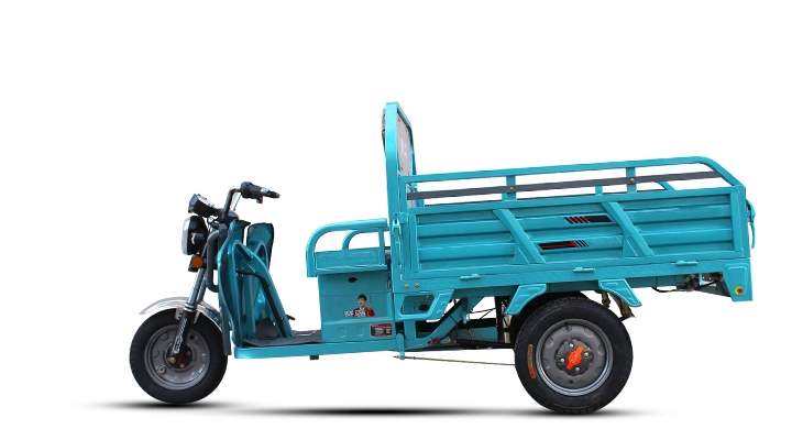 Three Wheel 500W 800W Electric Tricycle for Cargo Factory Manufacture Cheap Price Electric Cargo Tricycle with Mudguards